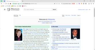 360 Extreme Browser screenshot 1