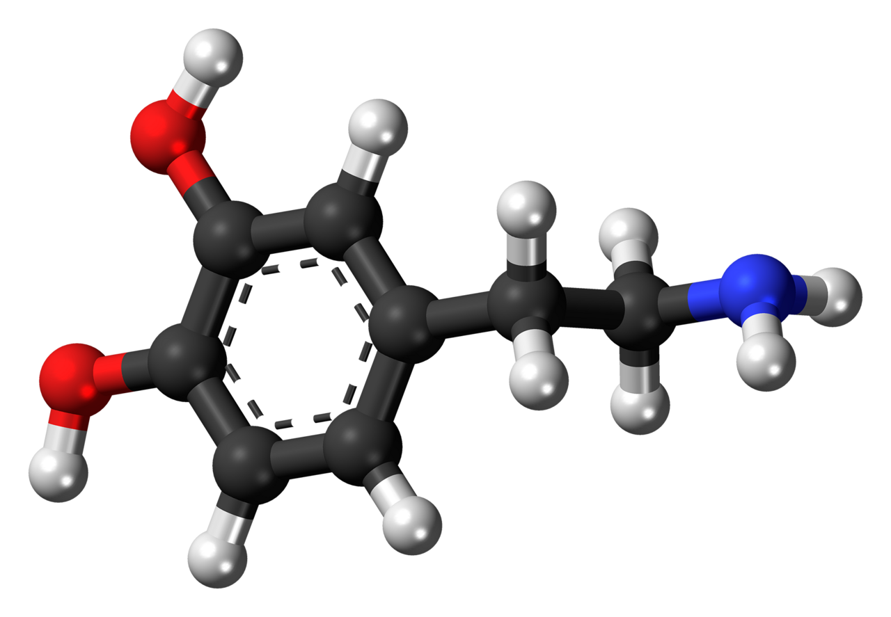 Dopamine screenshot 1