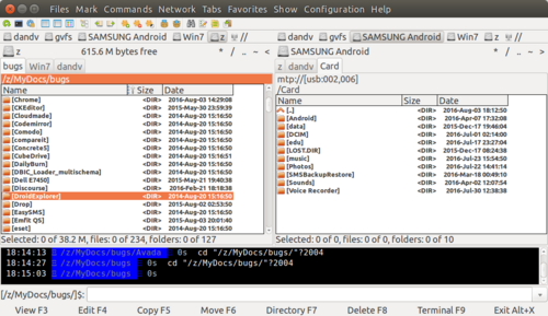 Double Commander screenshot 1