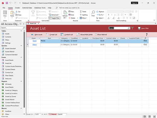 Microsoft Access screenshot 1
