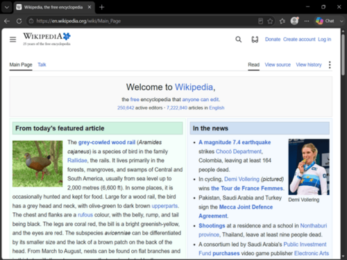 Microsoft Edge screenshot 1