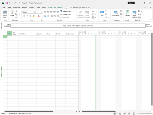 Microsoft Project screenshot 2