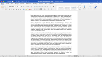 Microsoft Word screenshot 2