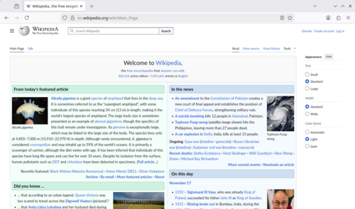 Mozilla Firefox screenshot 3