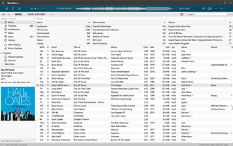 MusicBee screenshot 1