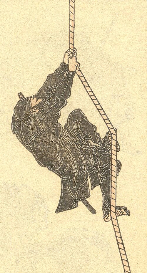 Ninja screenshot 1