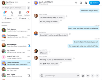 Skype screenshot 2