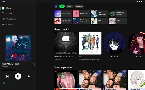 Spotify screenshot 2