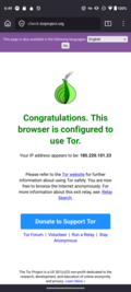 Tor Browser screenshot 3