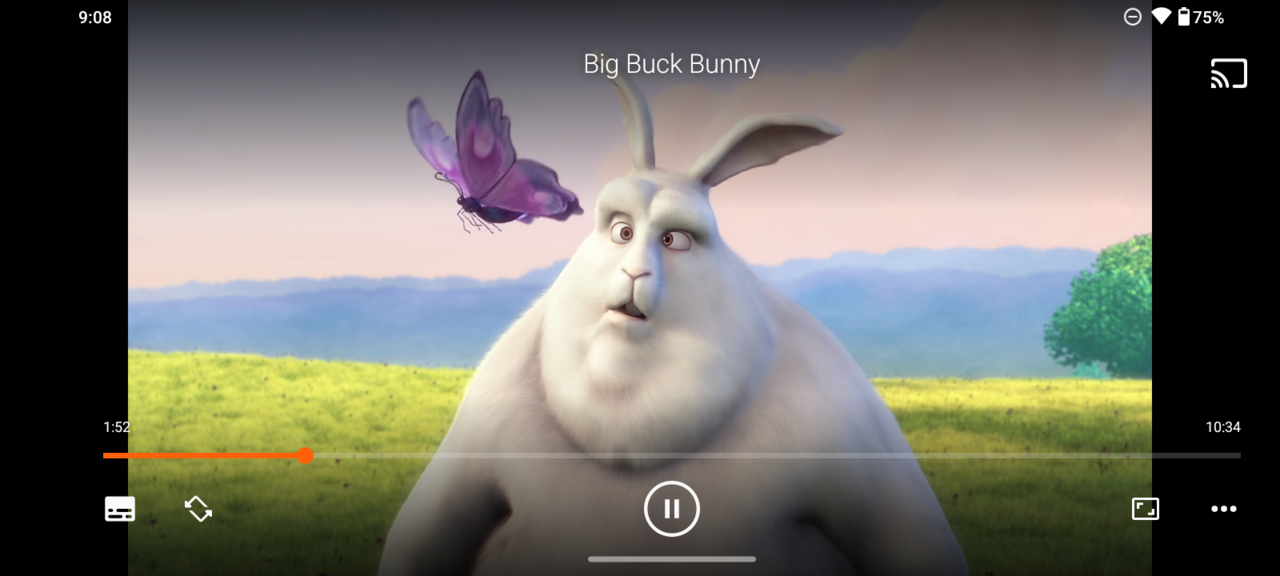 VLC Media Player screenshot 3